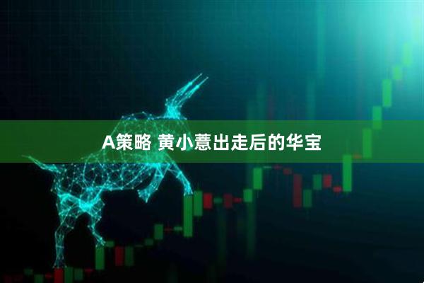 A策略 黄小薏出走后的华宝