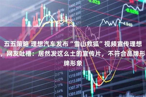 五五策略 理想汽车发布“雪山救狐”视频宣传理想i8，网友吐槽：居然发这么土的宣传片，不符合品牌形象