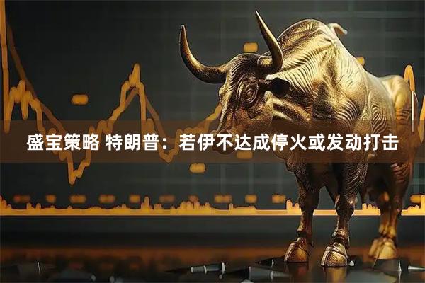 盛宝策略 特朗普：若伊不达成停火或发动打击